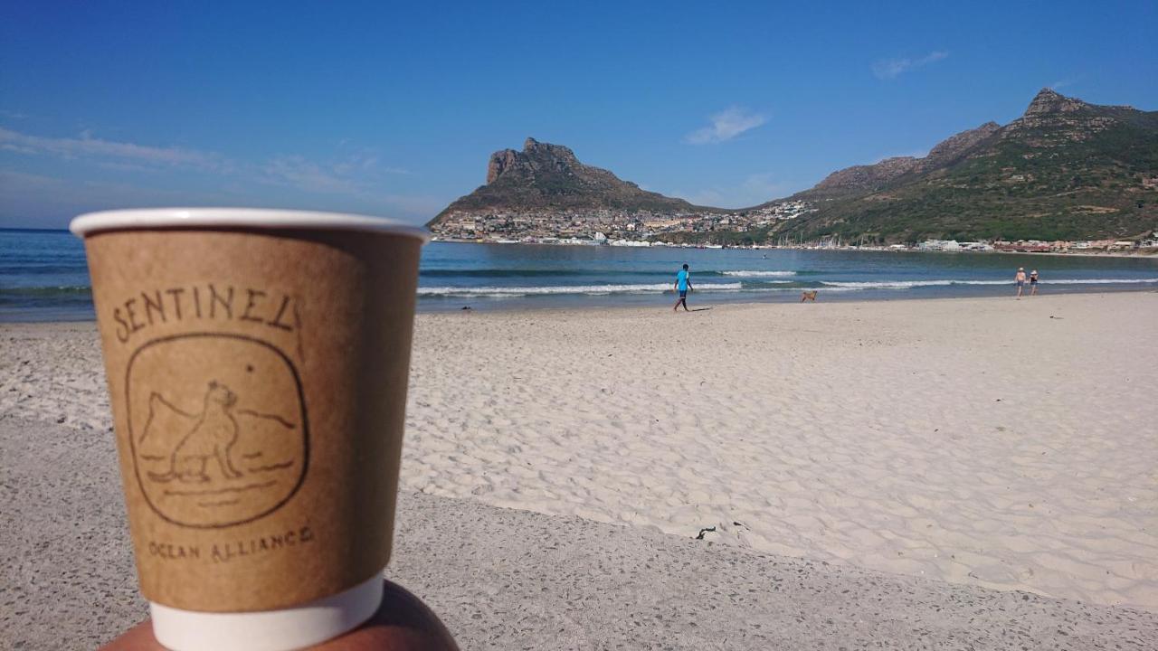 Villa Amanzi Hout Bay Kültér fotó