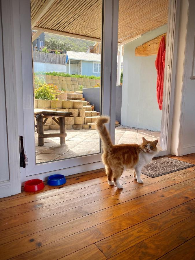 Villa Amanzi Hout Bay Kültér fotó